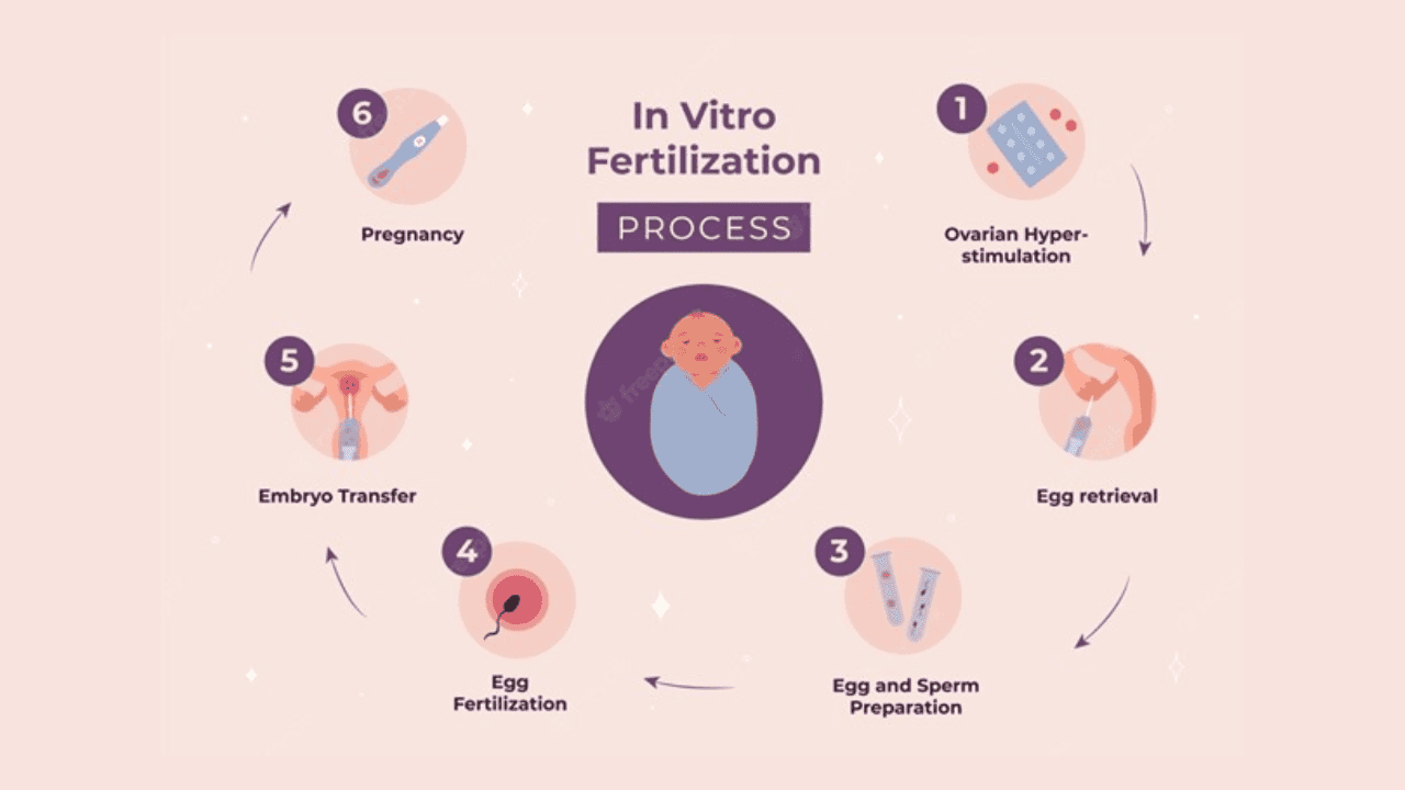 IVF Treatment cost in india